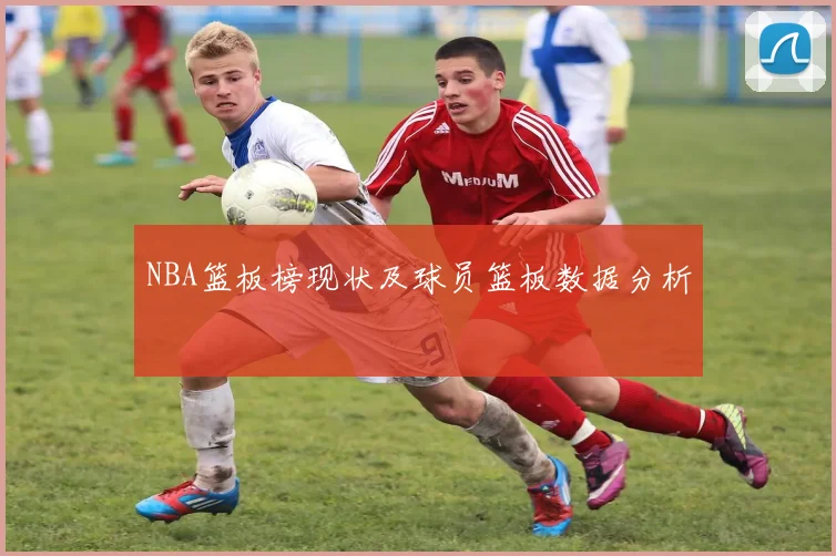 NBA篮板榜现状及球员篮板数据分析