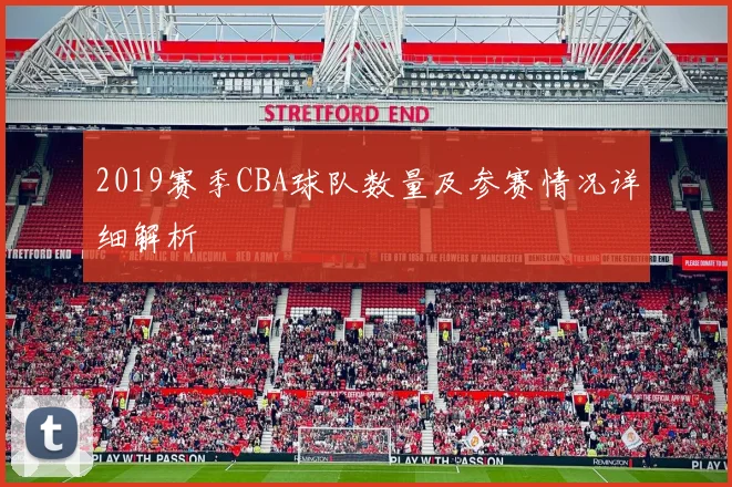 2019赛季CBA球队数量及参赛情况详细解析