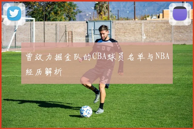 曾效力掘金队的CBA球员名单与NBA经历解析