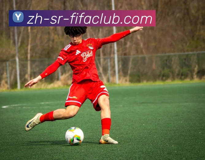 世界杯买球发展历程